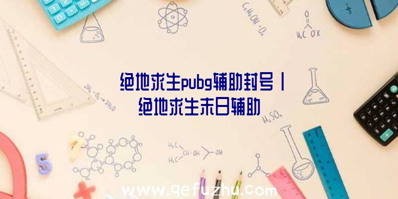 「绝地求生pubg辅助封号」|绝地求生末日辅助